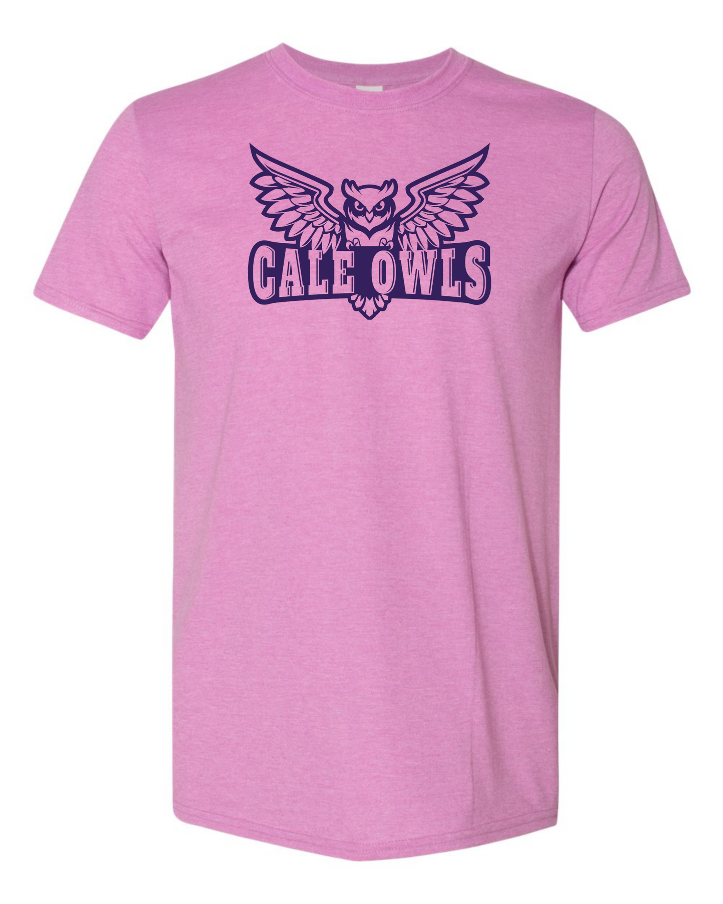 CALE OWLS tee