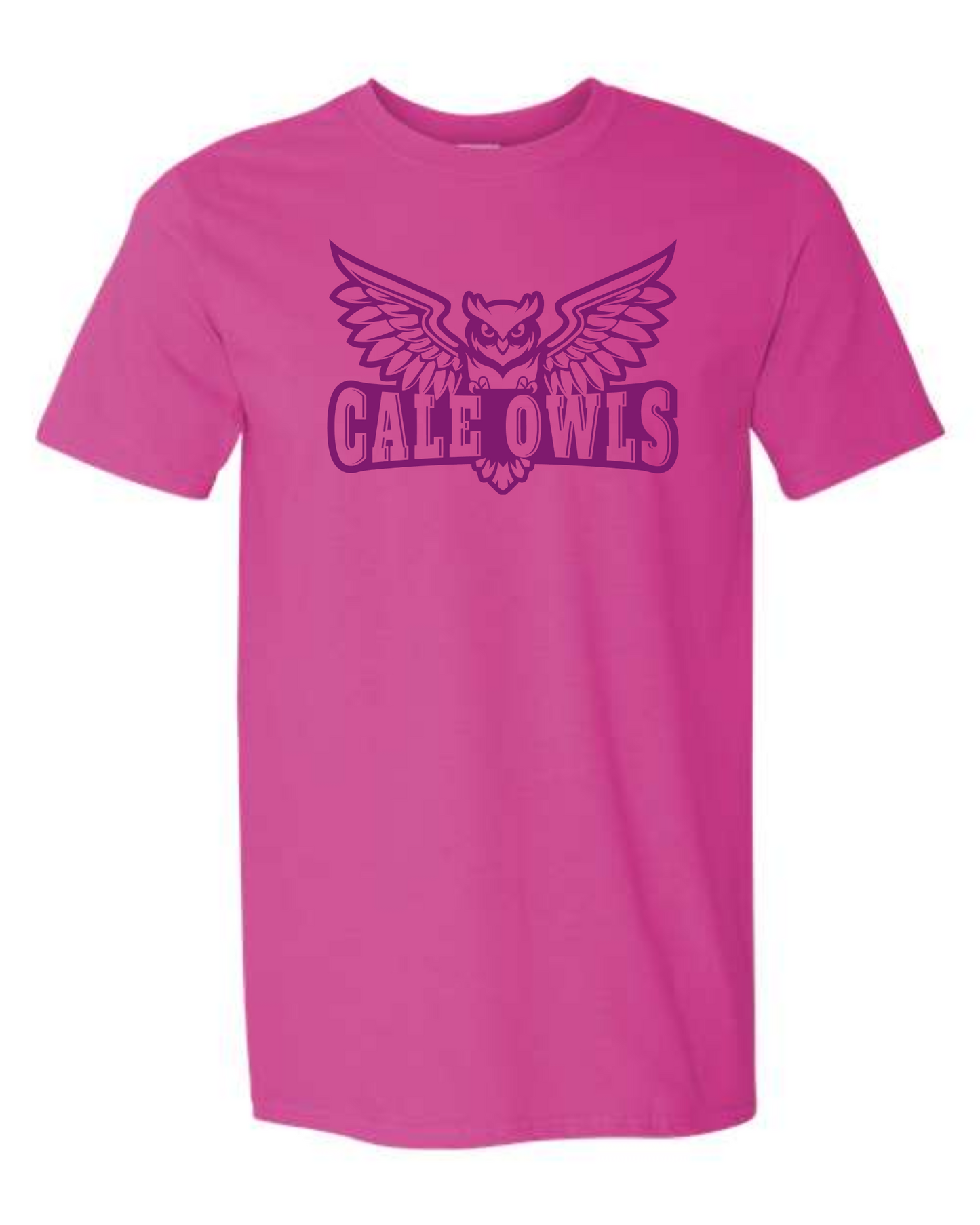 CALE OWLS tee
