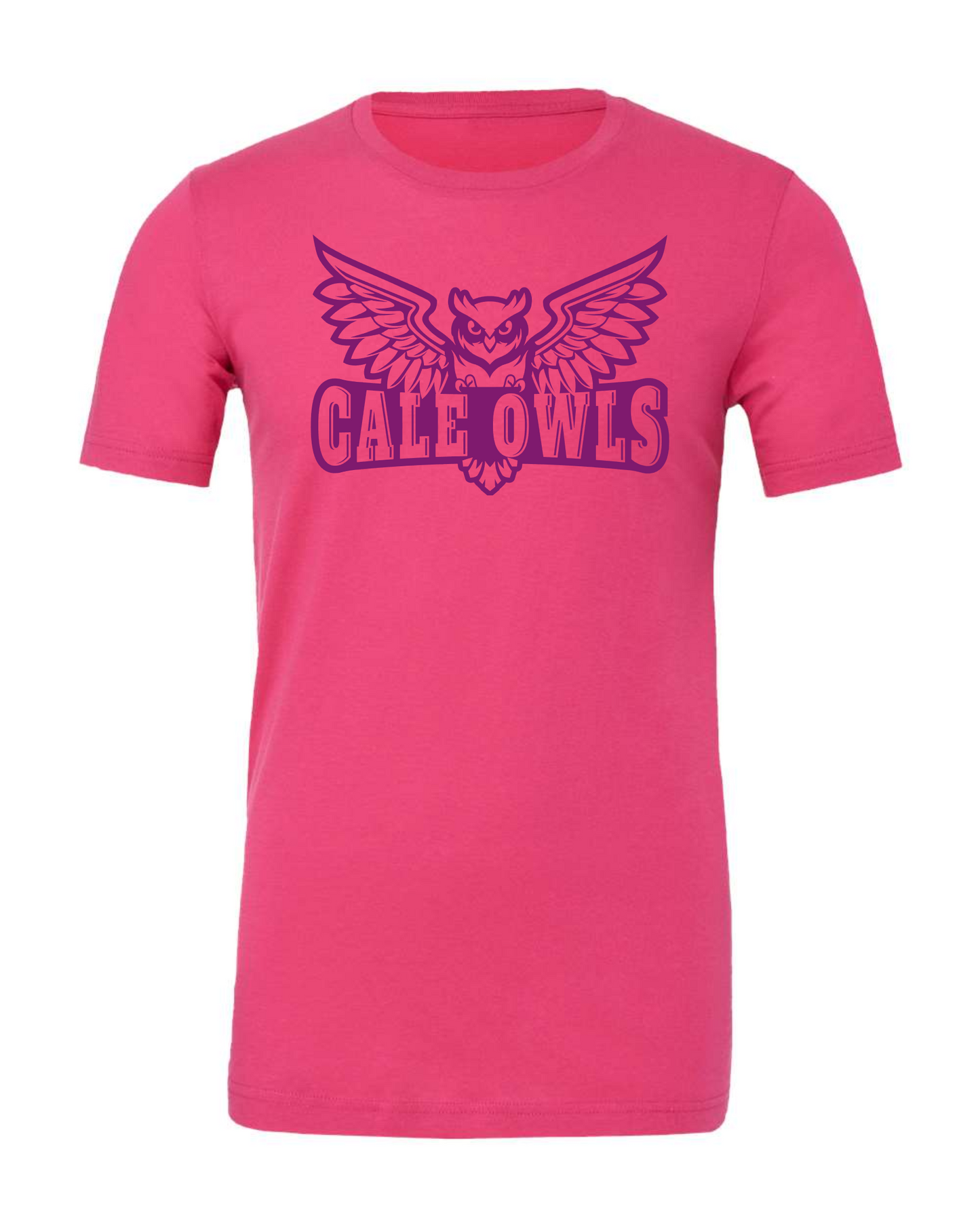 CALE OWLS tee