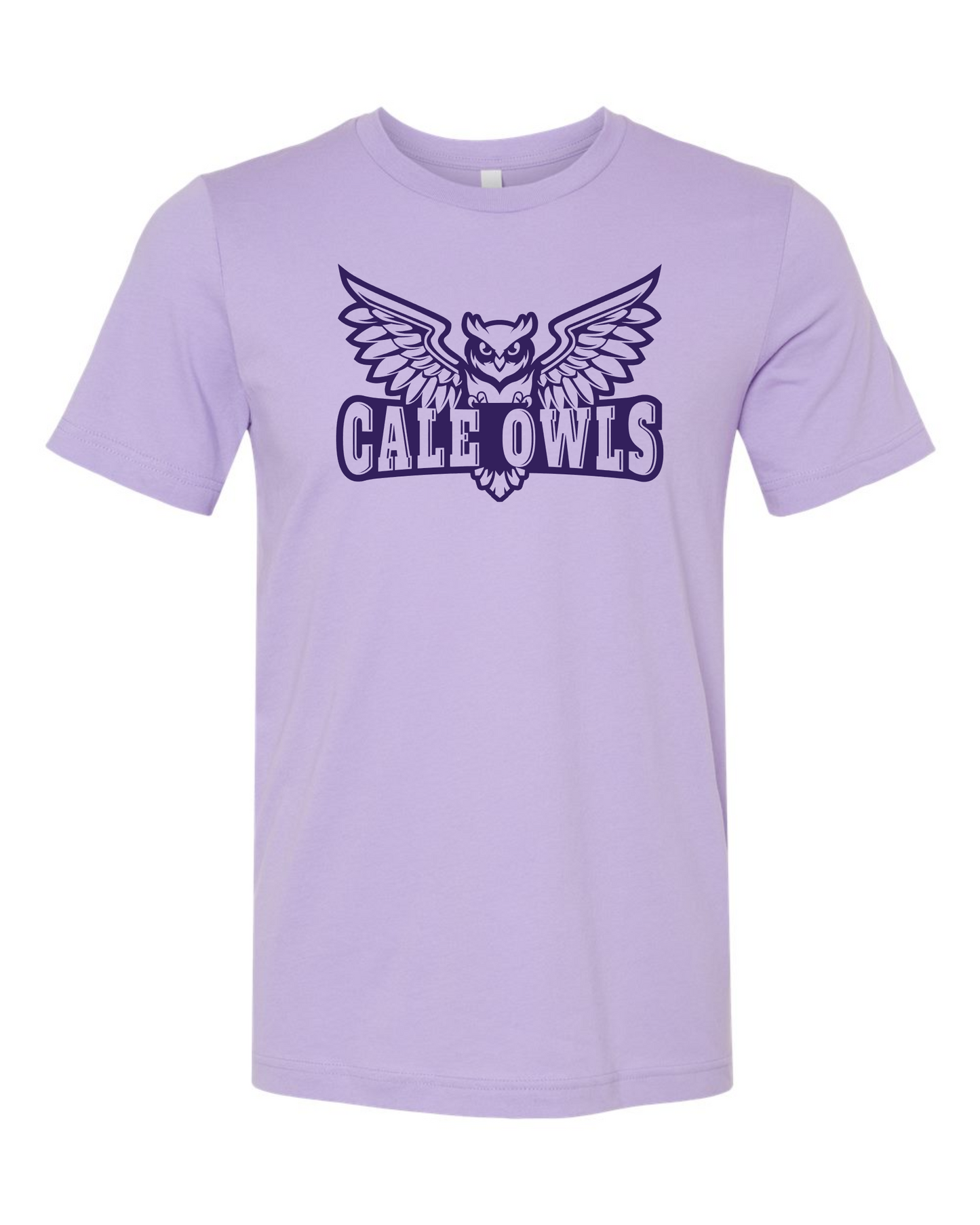 CALE OWLS tee