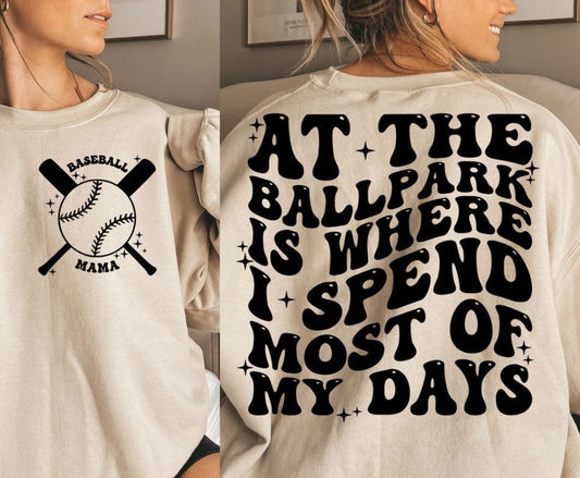 At the ballpark
